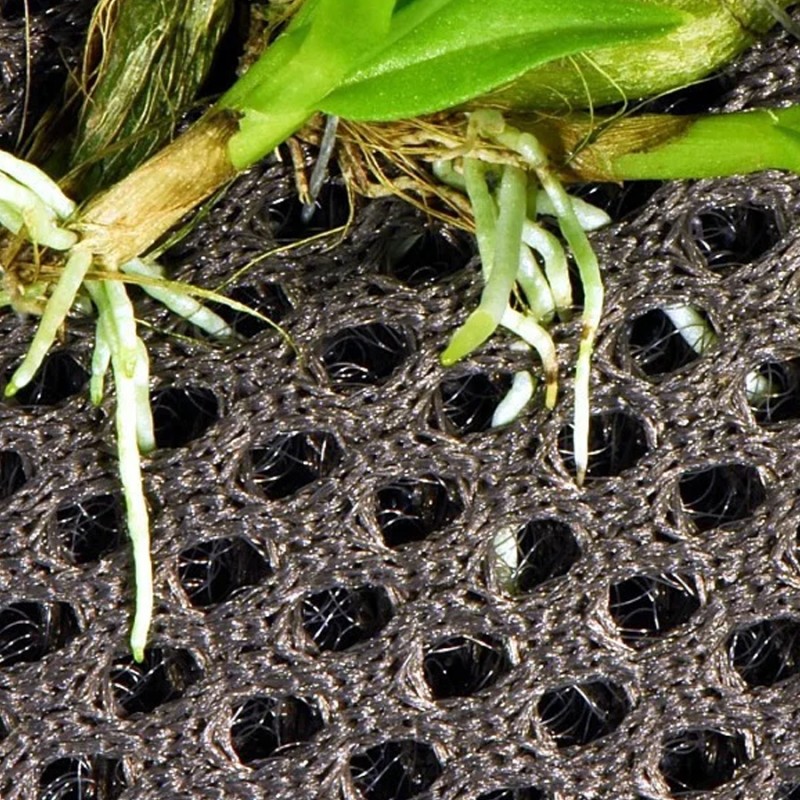 Hydrolon 44x44cm Rainforest Plant Cotton Wacool