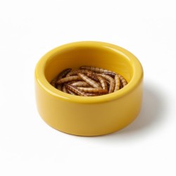 Miseczka ceramiczna 5 cm na mącznika