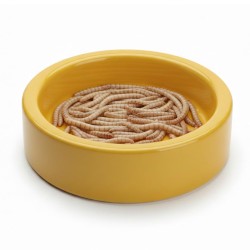 Miseczka ceramiczna na mącznika 10 cm
