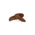 Elephant Ear 12-18 cm Elephant Ear 12-18 cm