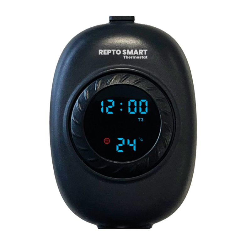 Termostat dzień/noc Repto Dimming