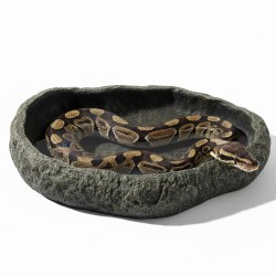 Największy basen - miska do terrarium XXL szary granit 40 cm