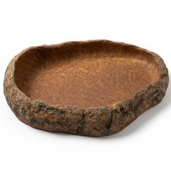 Największy basen - miska do terrarium XXL piaskowiec 40 cm