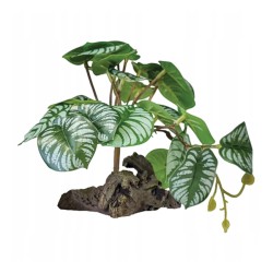 Roślina sztuczna Begonia Repto
