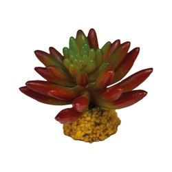 Roślina sztuczna Succulent Red Repto