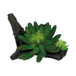 Roślina sztuczna Succulent Green Repto