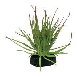 Roślina sztuczna Tillandsia Big Repto