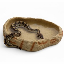 Największy basen - miska do terrarium XXL canyon 40 cm