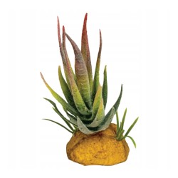 Roślina sztuczna Aloes Red Repto