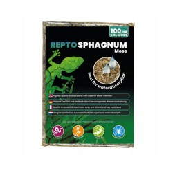 Mech torfowiec 100g 5L Repto Sphagnum Moss