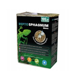 Mech torfowiec 100g 5L Repto Sphagnum Moss