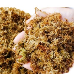 Mech torfowiec 100g 5L Repto Sphagnum Moss