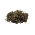 Mech torfowiec 100g 5L Repto Forest Moss
