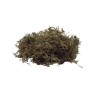 Mech torfowiec 100g 4L Repto Forest Moss