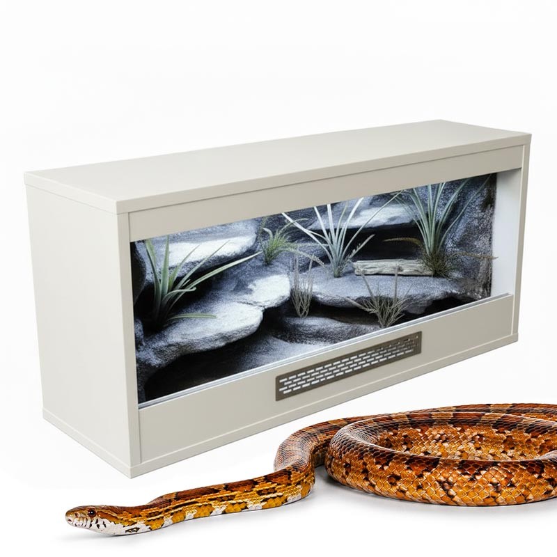 Terrarium dla Węża Zbożowego 80x40x40cm