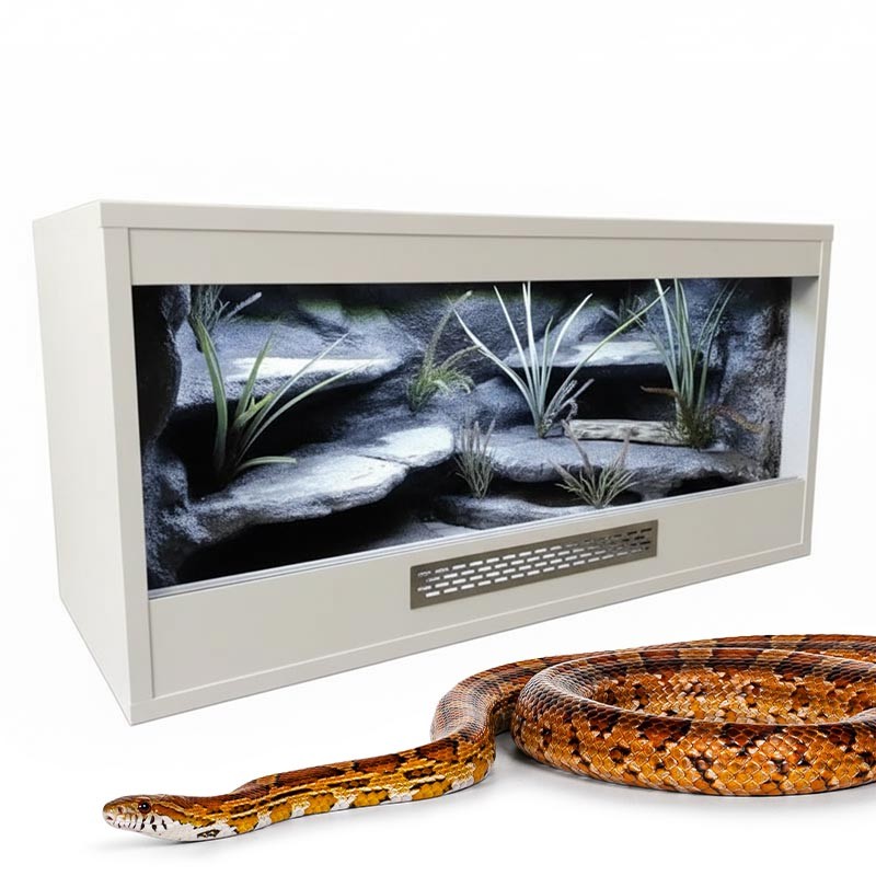 Terrarium dla Węża Zbożowego 80x40x40cm