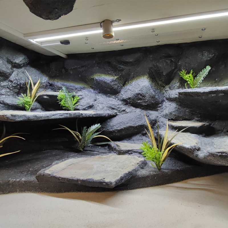 Terrarium dla Agamy Brodatej z przeszklonym prawym bokiem 120x60x60cm