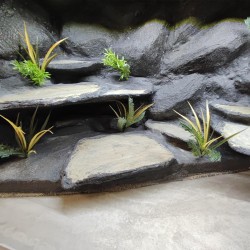 Terrarium dla Agamy Brodatej z przeszklonym prawym bokiem 120x60x60cm