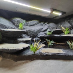 Terrarium dla Agamy Brodatej z przeszklonym lewym bokiem 120x60x60cm