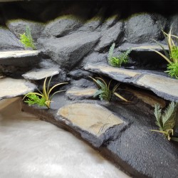 Terrarium dla Agamy Brodatej z przeszklonym lewym bokiem 120x60x60cm