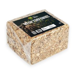 Mech torfowiec Sphagnum Moss do terrarium