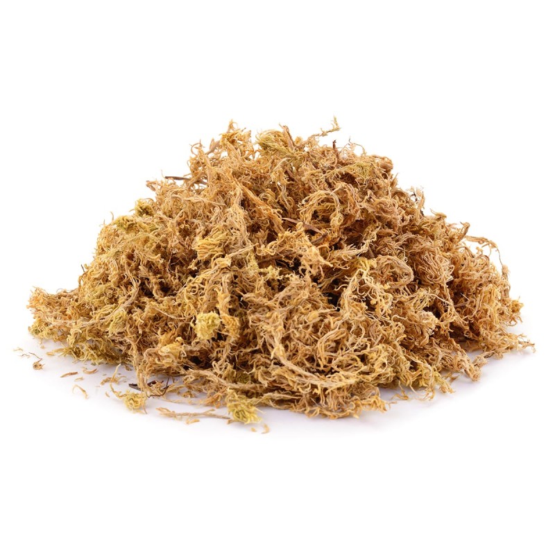 Mech torfowiec Sphagnum Moss do terrarium