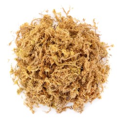 Mech torfowiec Sphagnum Moss do terrarium