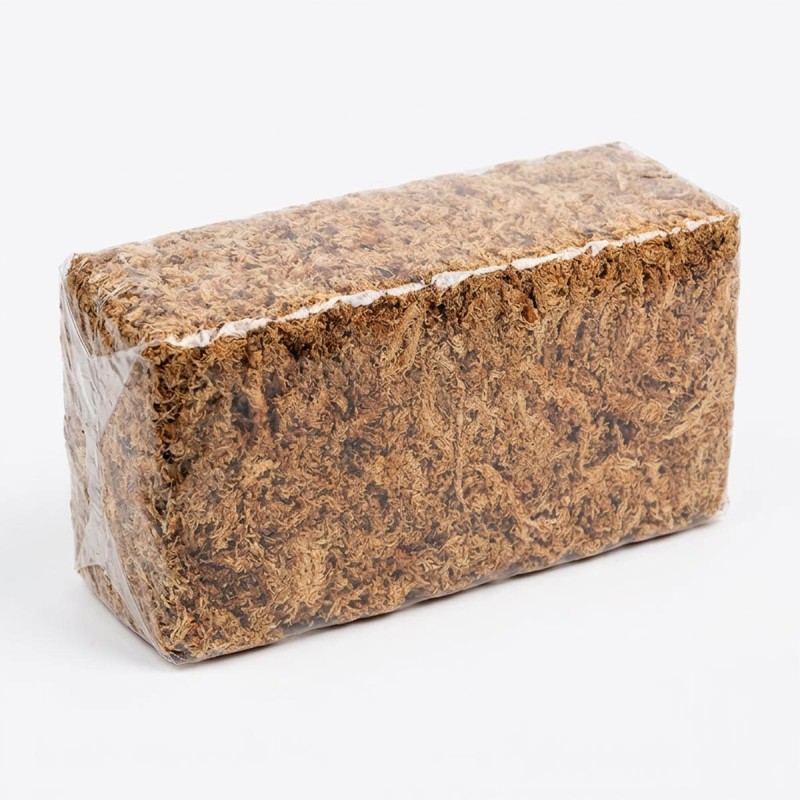 Mech torfowiec - Sphagnum Moss 150g