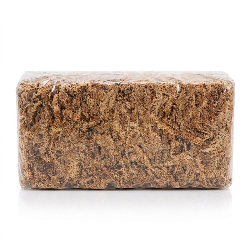 Mech torfowiec - Sphagnum Moss 150g