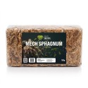 Mech torfowiec - Sphagnum Moss 150g