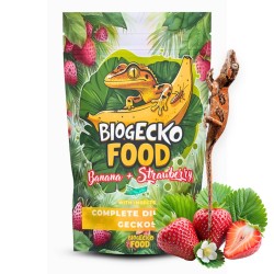 Pokarm dla gekonów BioGecko Food Banan i Truskawka 100g