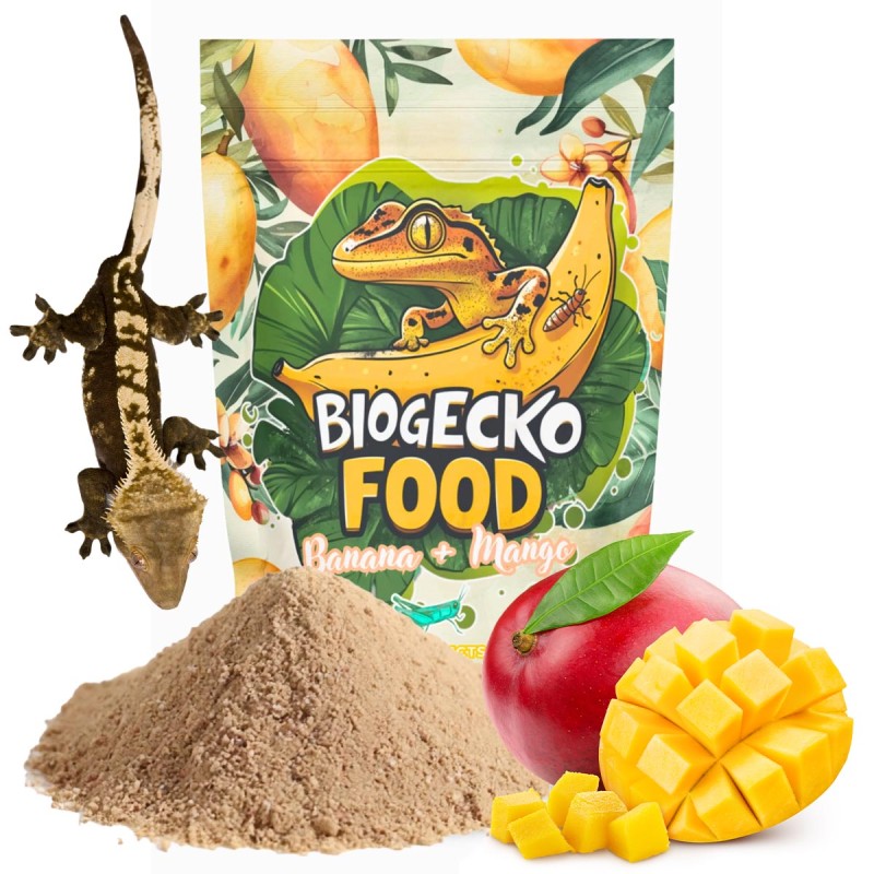 Pokarm dla gekonów BioGecko Food Banan i Mango 100g