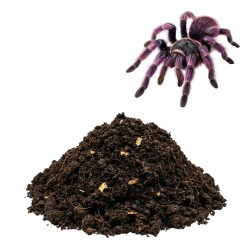 Podłoże dla ptaszników do Terrarium