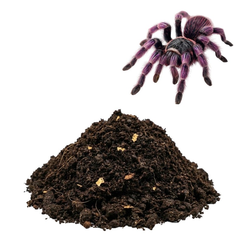 Podłoże dla ptaszników do Terrarium