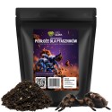 Podłoże dla ptaszników do Terrarium