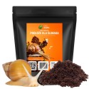 Podłoże dla ślimaków do terrarium