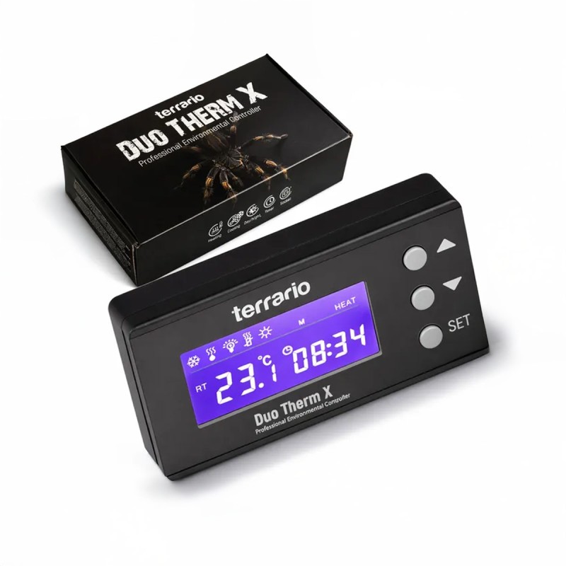 Termostat dzień/noc