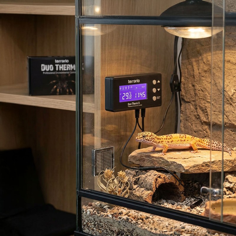 Terrario Duo Therm X z programatorem