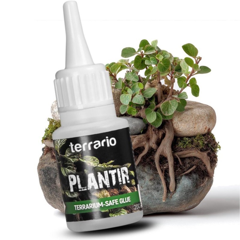 Klej do dekoracji 20g Terrario Plantir