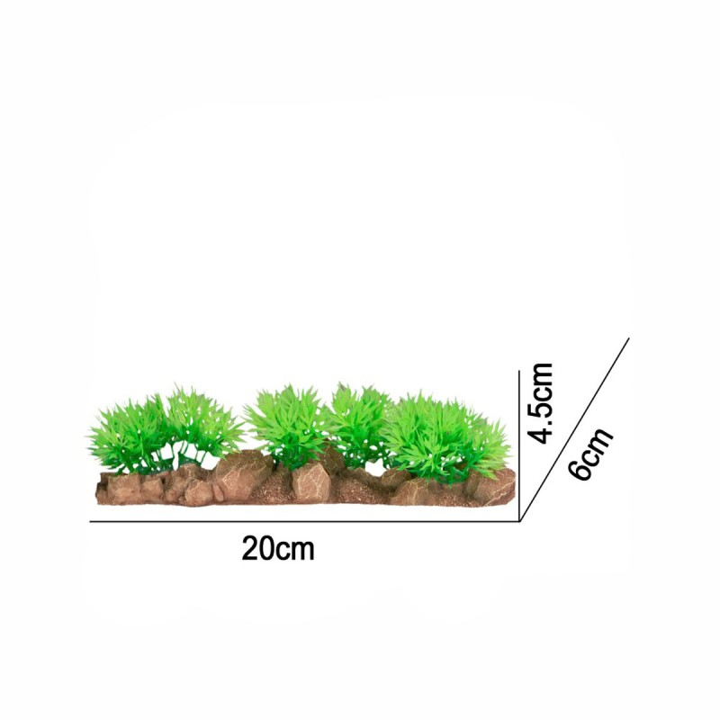 Plant Line Plant Line