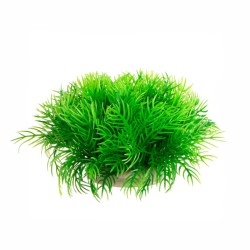 Roślina sztuczna Plant Slim Green 7 cm Kruger Meier