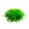 Roślina sztuczna Slim Green 7 cm Kruger Meier