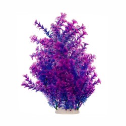 Roślina sztuczna Ocean 36 cm Kruger Meier