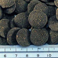 Pokarm dla glonojadów 20g HIKARI Algae Wafers