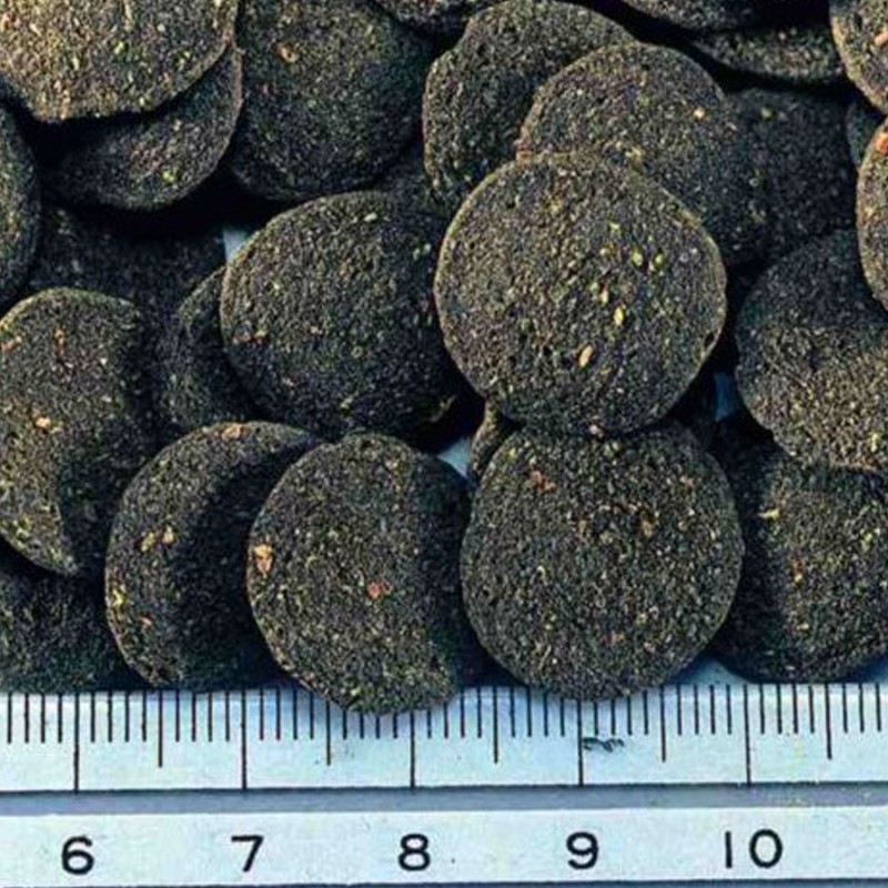 Pokarm dla glonojadów 20g HIKARI Algae Wafers