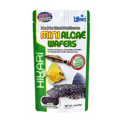 Pokarm dla ryb dennych Mini Algae Wafers HIKARI