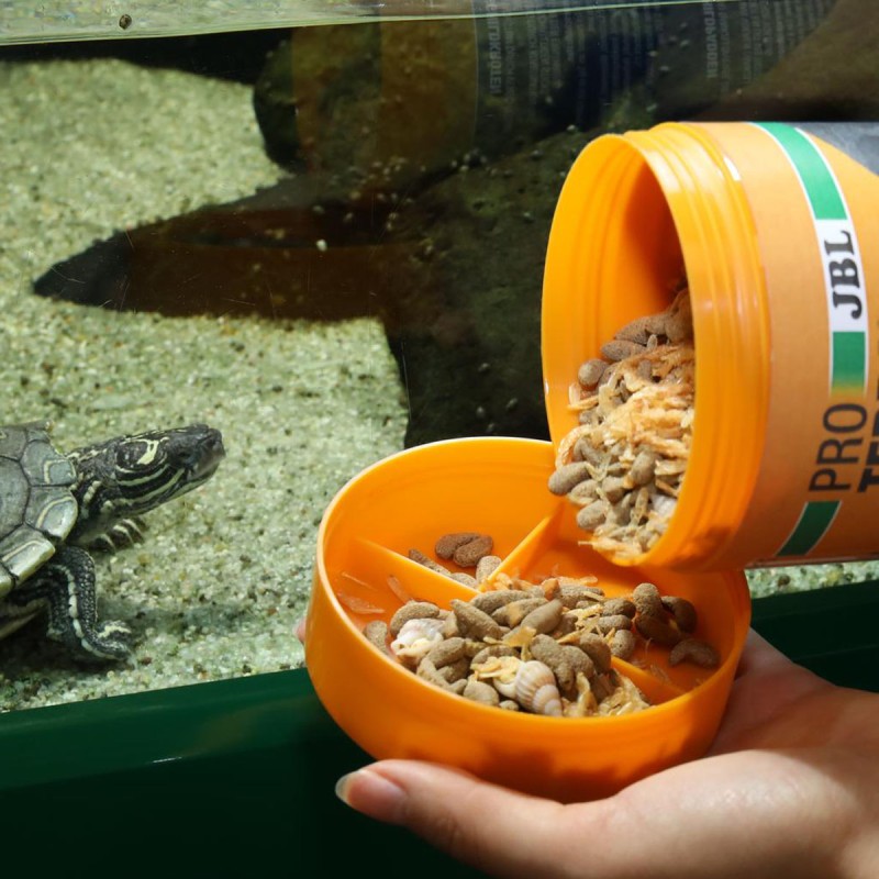 JBL ProTerra Molluscus - pokarm ze ślimakami dla żółwi wodnych