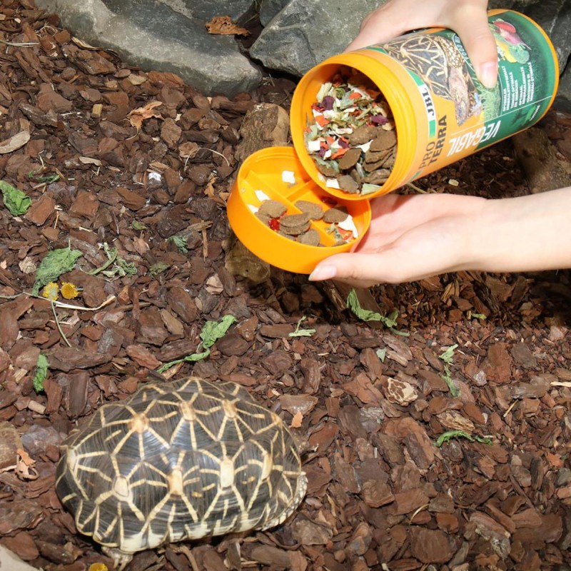 JBL ProTerra Vegetabil – warzywa dla żółwi