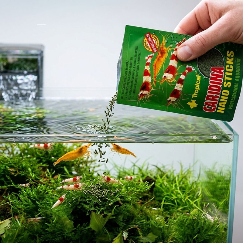 TROPICAL Caridina Nano Sticks – pokarm dla krewetek i skorupiaków