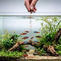 TROPICAL Nanovit Granulat – drobny granulat dla małych ryb akwariowych
